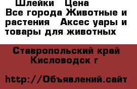 Шлейки › Цена ­ 800 - Все города Животные и растения » Аксесcуары и товары для животных   . Ставропольский край,Кисловодск г.